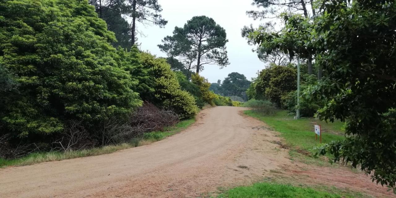 Las Chozas Punta del Este Pokoj fotografie