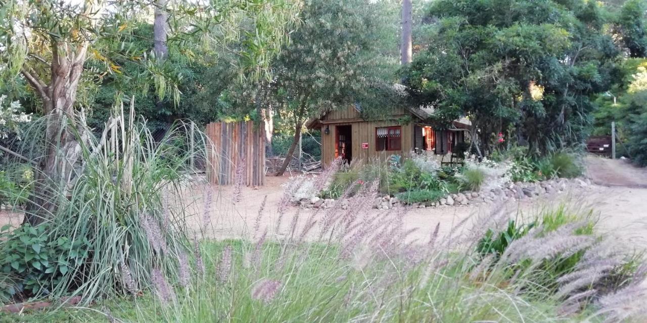 Las Chozas Punta del Este Pokoj fotografie