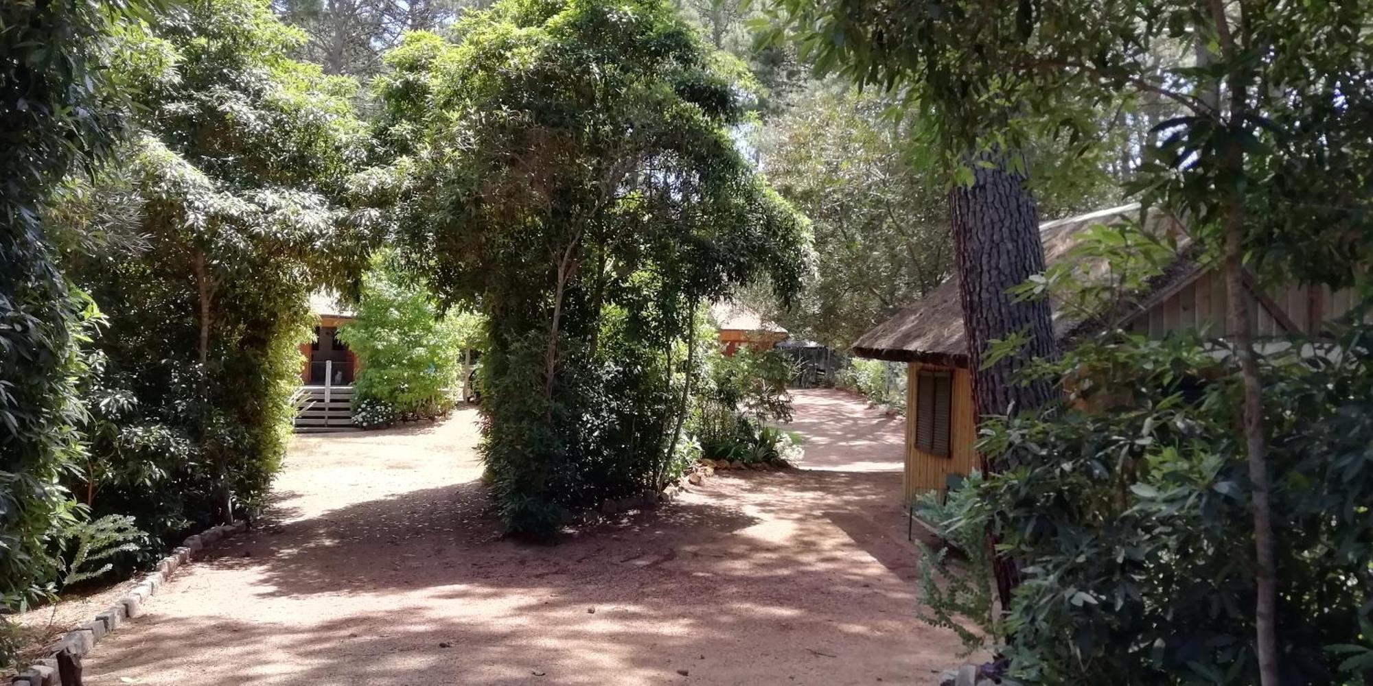 Las Chozas Punta del Este Exteriér fotografie
